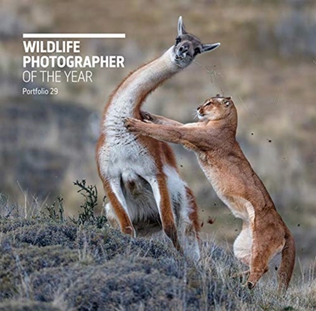 Bilde av Wildlife Photographer Of The Year: Portfolio 29