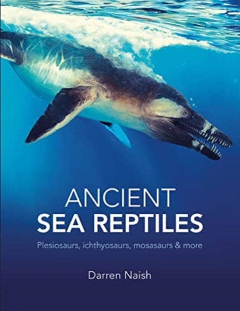 Bilde av Ancient Sea Reptiles Av Darren Naish