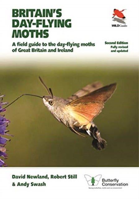 Bilde av Britain&#039;s Day-flying Moths Av David Newland, Robert Still, Andy Swash