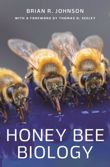 Bilde av Honey Bee Biology Av Brian R. Johnson