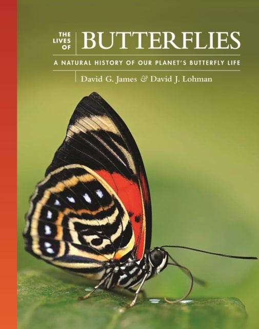 Bilde av The Lives Of Butterflies Av David G. James, Dr David J. (associate Professor) Lohman