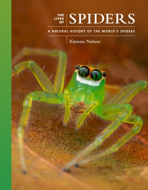 Bilde av The Lives Of Spiders Av Dr. Ximena (post-doctoral Fellow) Nelson