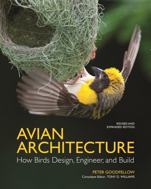 Bilde av Avian Architecture Revised And Expanded Edition Av Peter Goodfellow