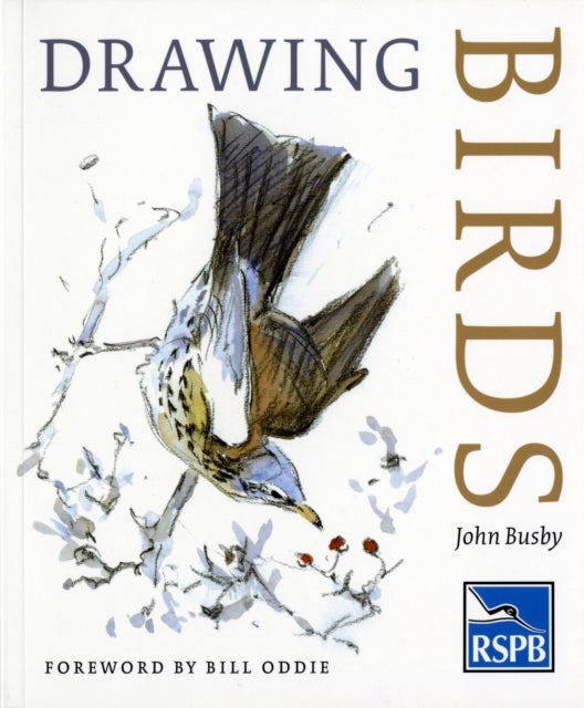 Bilde av Drawing Birds Av John Busby