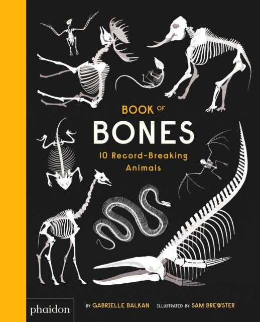 Bilde av Book Of Bones Av Gabrielle Balkan