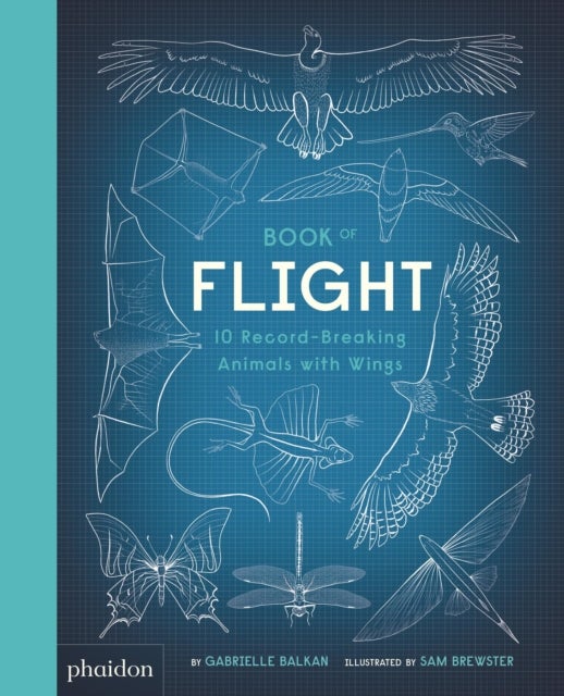 Bilde av Book Of Flight Av Gabrielle Balkan
