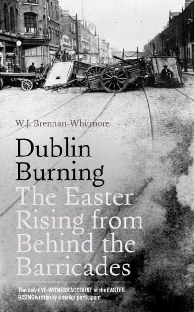 Bilde av Dublin Burning Av W. J. Brennan-whitmore