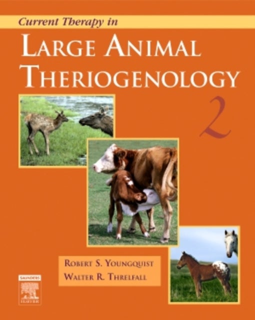 Bilde av Current Therapy In Large Animal Theriogenology Av Robert S. (professor And Associate Chairman University Of Missouri Department Of Veterinary Medicine