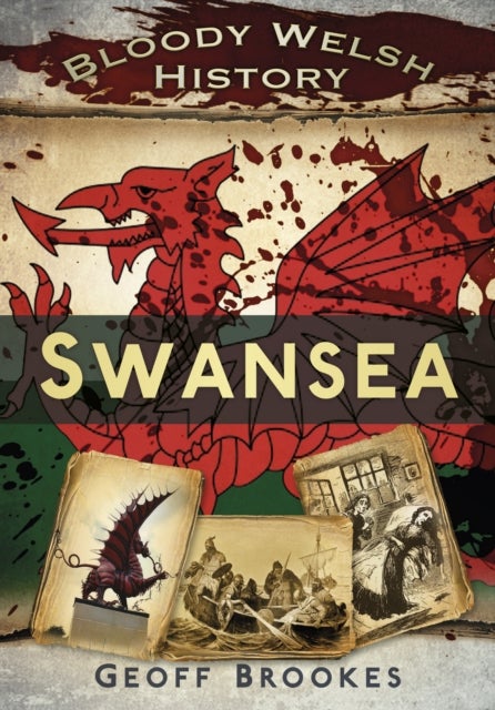 Bilde av Bloody Welsh History: Swansea Av Geoff Brookes