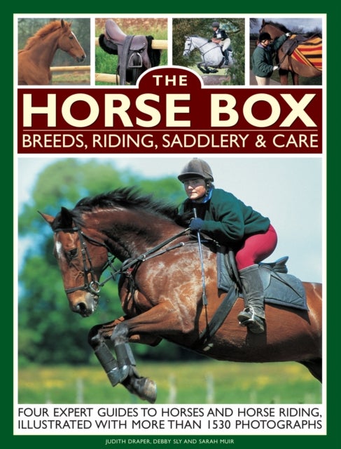 Bilde av Horse Box: Breeds, Riding, Saddlery &amp; Care Av Muir Sarah