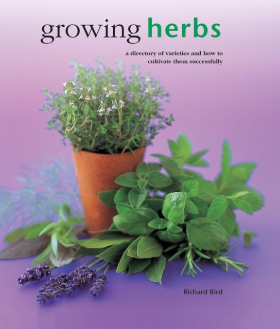 Bilde av Growing Herbs Av Bird Richard