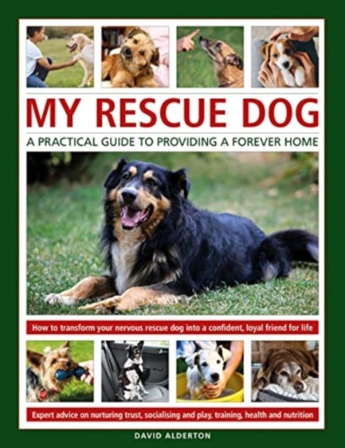 Bilde av My Rescue Dog: A Practical Guide To Providing A Forever Home Av David Alderton