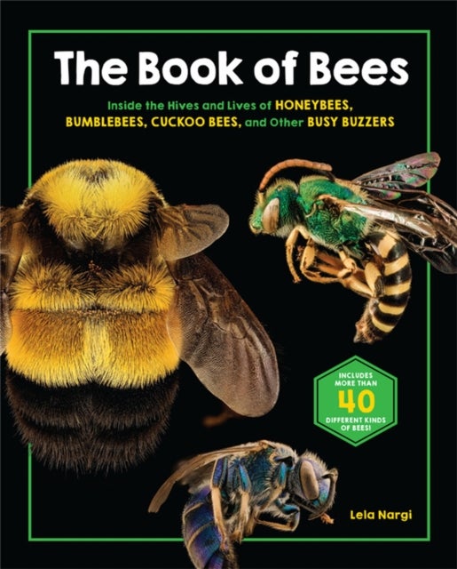 Bilde av The Book Of Bees Av Lela Nargi