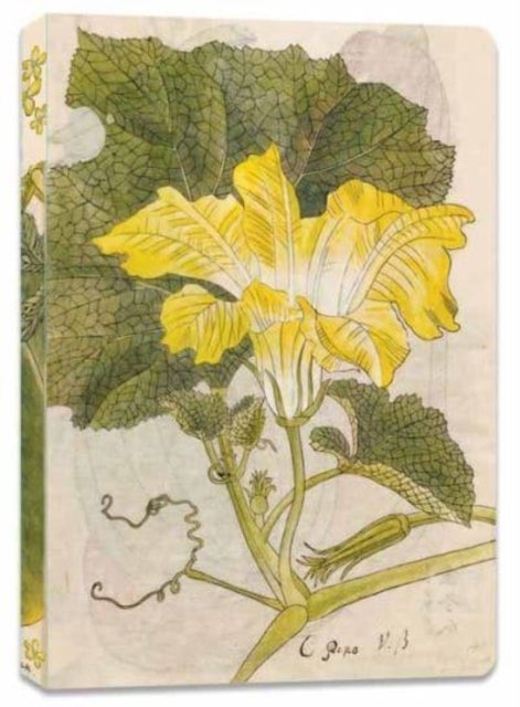 Bilde av Japanese Squash Blossom Lined Paperback Journal