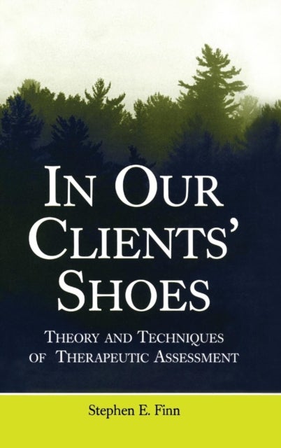 Bilde av In Our Clients&#039; Shoes Av Stephen E. (in Private Practice Texas Usa) Finn