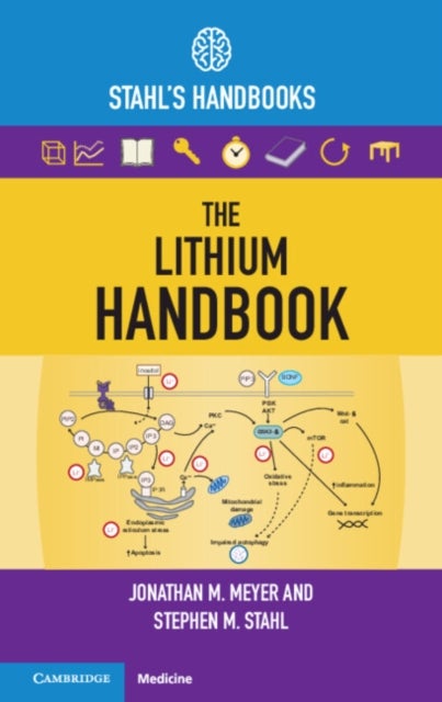 Bilde av The Lithium Handbook Av Jonathan M. (university Of California San Diego) Meyer, Stephen M. (university Of California San Diego) Stahl