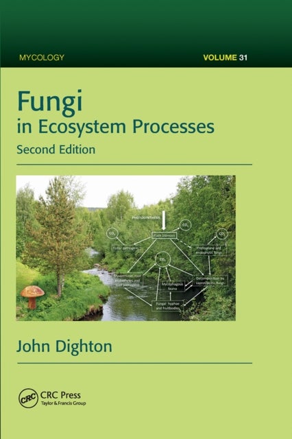 Bilde av Fungi In Ecosystem Processes Av John (rutgers University Pinelands Field Station New Lisbon New Jersey Usa) Dighton