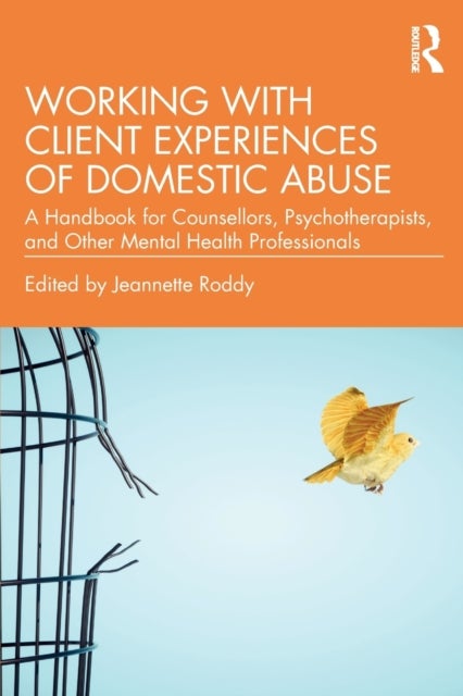 Bilde av Working With Client Experiences Of Domestic Abuse
