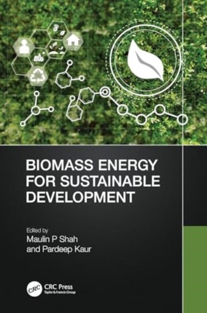 Bilde av Biomass Energy For Sustainable Development