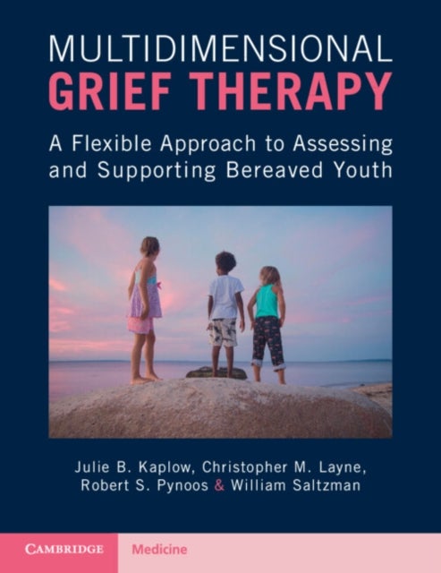 Bilde av Multidimensional Grief Therapy Av Julie B. (tulane University School Of Medicine Louisiana) Kaplow, Christopher M. (nova Southeastern University Flori