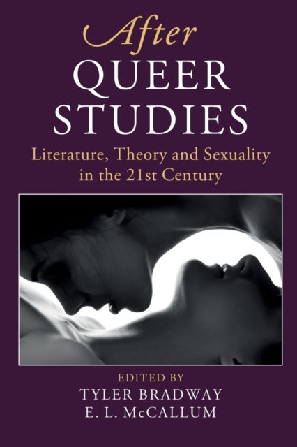Bilde av After Queer Studies