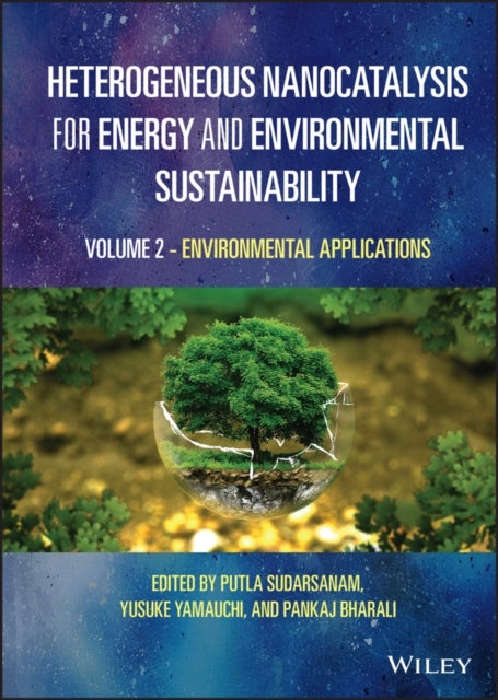 Bilde av Heterogeneous Nanocatalysis For Energy And Environmental Sustainability, Volume 2