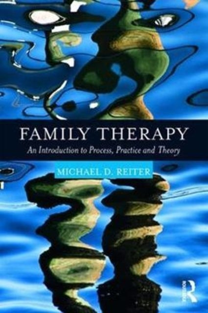 Bilde av Family Therapy Av Michael D. (nova Southeastern University Reiter