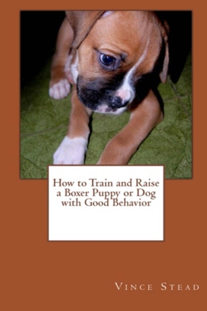 Bilde av How To Train And Raise A Boxer Puppy Or Dog With Good Behavior Av Vince Stead
