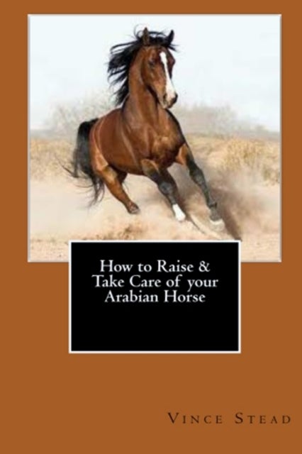 Bilde av How To Raise &amp; Take Care Of Your Arabian Horse Av Vince Stead