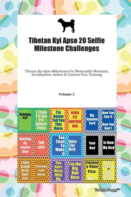 Bilde av Tibetan Kyi Apso 20 Selfie Milestone Challenges Tibetan Kyi Apso Milestones For Memorable Moments, S Av Doggy Todays Doggy