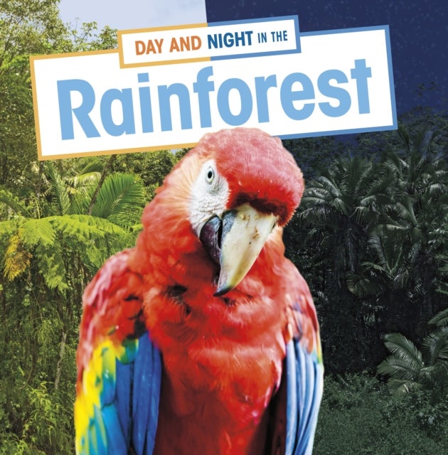 Bilde av Day And Night In The Rainforest Av Ellen Labrecque