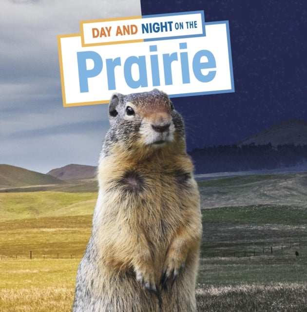 Bilde av Day And Night On The Prairie Av Ellen Labrecque