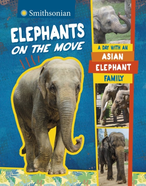 Bilde av Elephants On The Move Av Lela Nargi