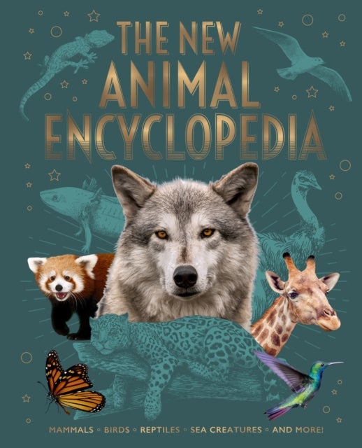 Bilde av The New Animal Encyclopedia Av Claudia Martin, Dr Meriel Lland, Dr Michael Leach, Claire Philip, Alex Woolf