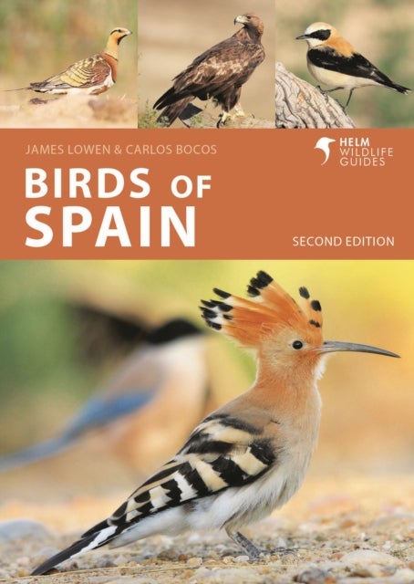 Bilde av Birds Of Spain Av James Lowen, Carlos Bocos Gonzalez
