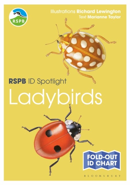 Bilde av Rspb Id Spotlight - Ladybirds Av Marianne Taylor