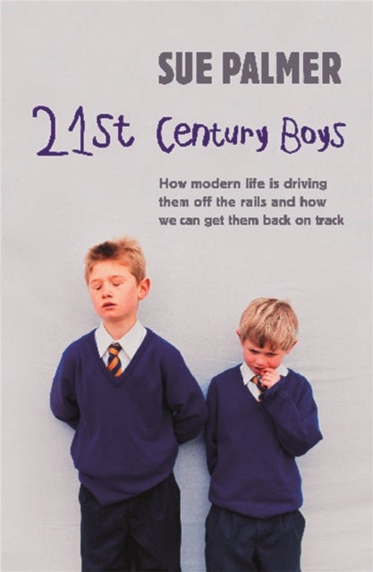 Bilde av 21st Century Boys Av Sue Palmer