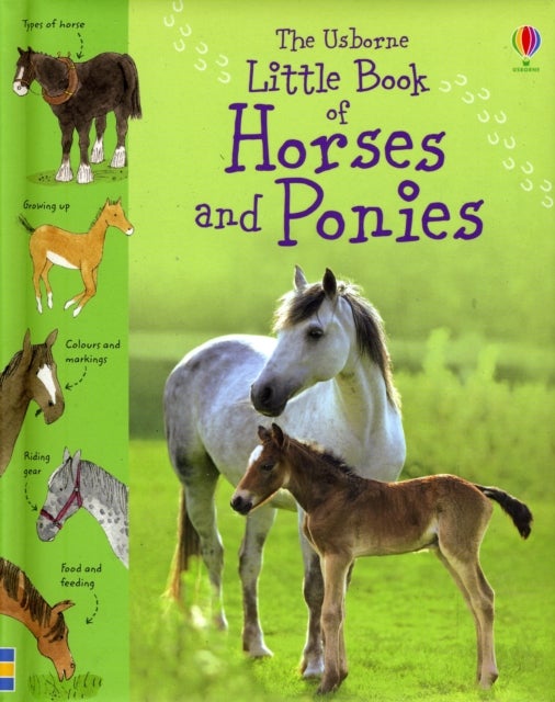 Bilde av Little Book Of Horses And Ponies Av Sarah Khan