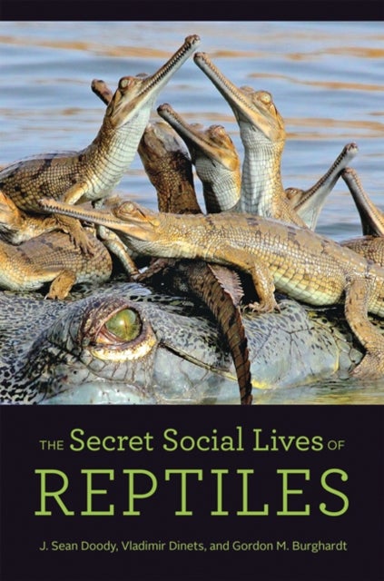 Bilde av The Secret Social Lives Of Reptiles Av J. Sean (university Of Tennessee) Doody, Vladimir (university Of Tennessee Knoxville) Dinets, Gordon M. (alumni