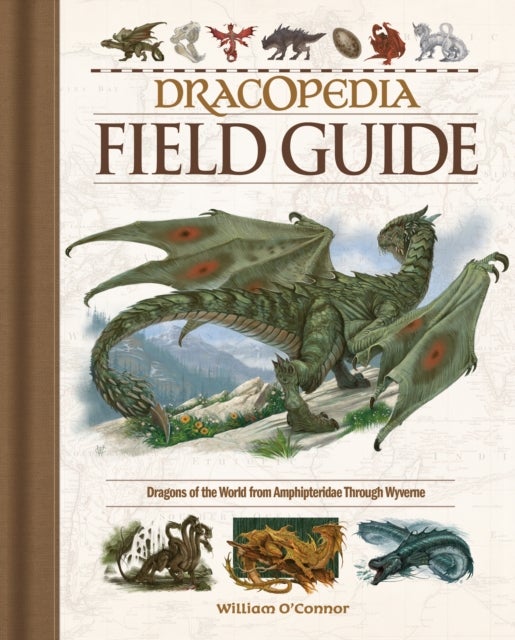 Bilde av Dracopedia Field Guide Av William O&#039;connor