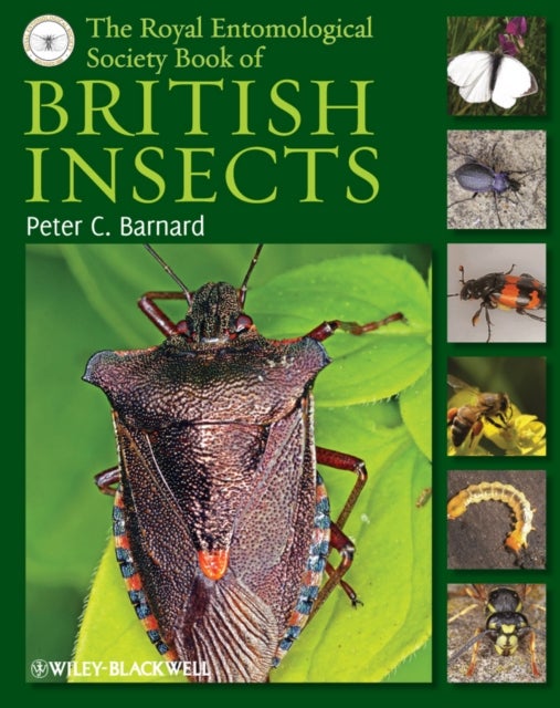 Bilde av The Royal Entomological Society Book Of British Insects Av Peter C. (royal Entomological Society) Barnard