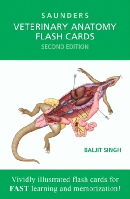 Bilde av Veterinary Anatomy Flash Cards Av Baljit (dean And Professor Faculty Of Veterinary Medicine At University Of Calgary) Singh