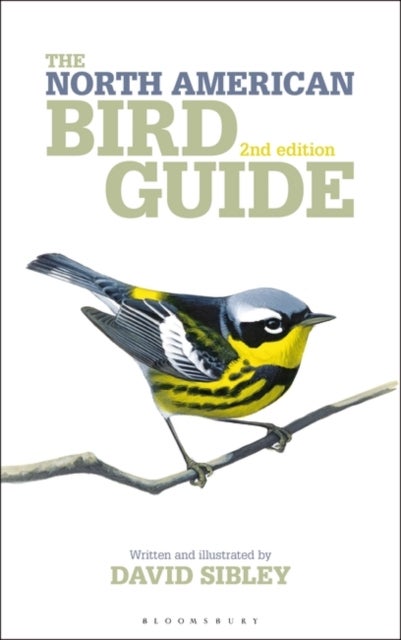 Bilde av The North American Bird Guide 2nd Edition Av David Sibley