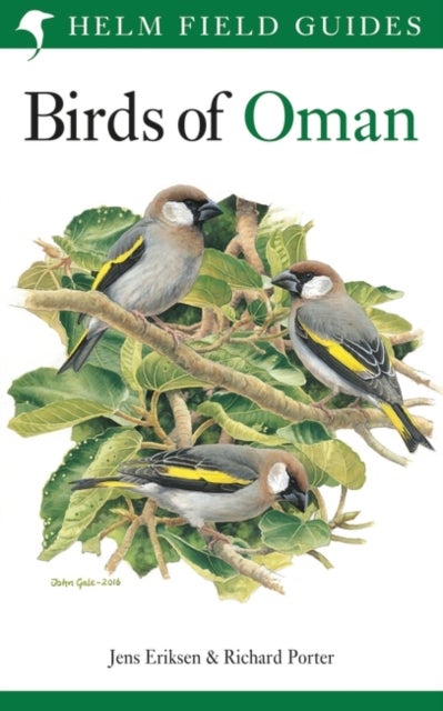Bilde av Birds Of Oman Av Richard Porter, Jens Eriksen