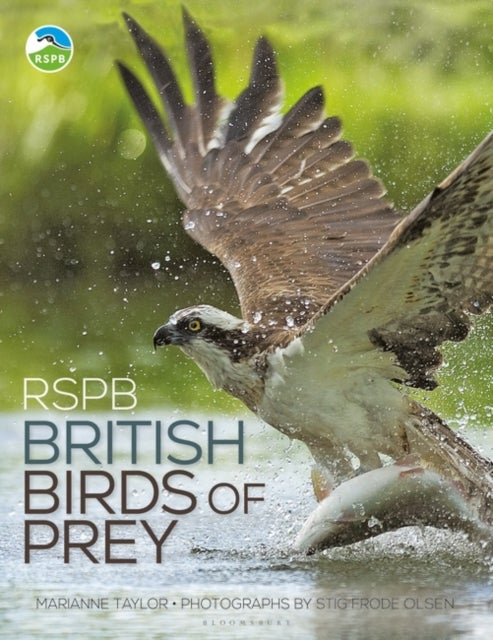 Bilde av Rspb British Birds Of Prey Av Marianne Taylor