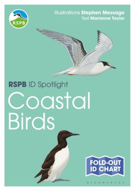 Bilde av Rspb Id Spotlight - Coastal Birds Av Marianne Taylor