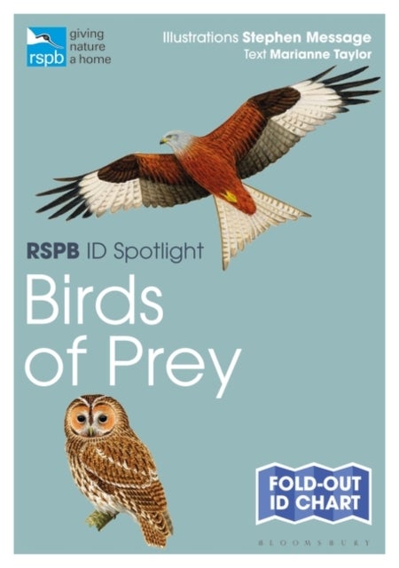 Bilde av Rspb Id Spotlight - Birds Of Prey Av Marianne Taylor
