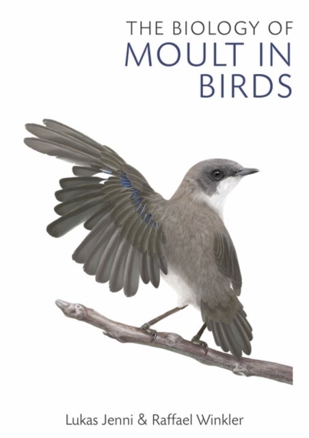 Bilde av The Biology Of Moult In Birds Av Lukas Jenni, Raffael Winkler