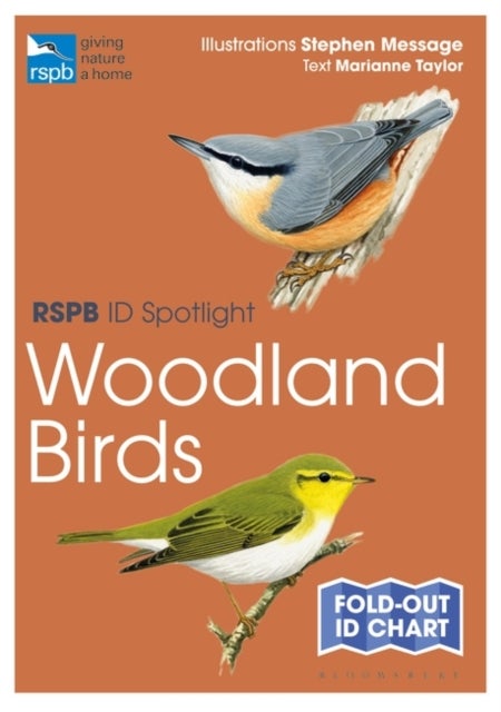 Bilde av Rspb Id Spotlight - Woodland Birds Av Marianne Taylor