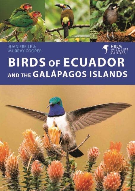 Bilde av Birds Of Ecuador And The Galapagos Islands Av Juan Freile, Murray Cooper